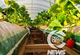 EXPEDIÇÃO COSTA OESTE 102