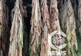 Expedição Costa Oeste 103 