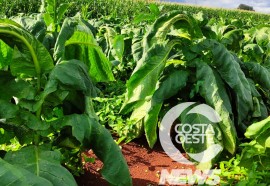Expedição Costa Oeste 103 