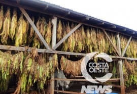 Expedição Costa Oeste 103 