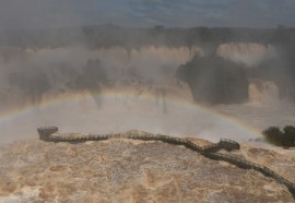 Créditos fotografia: Edi Emerson #FotoEquipeCataratas