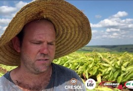 Expedição Costa Oeste: seca e crise do leite fazem pequeno agricultor voltar a cultivar fumo