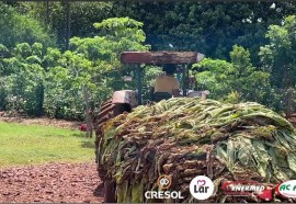 Expedição Costa Oeste: seca e crise do leite fazem pequeno agricultor voltar a cultivar fumo