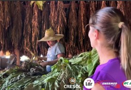 Expedição Costa Oeste: seca e crise do leite fazem pequeno agricultor voltar a cultivar fumo