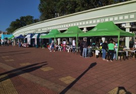 Dia C de Cooperar 03 07 2023