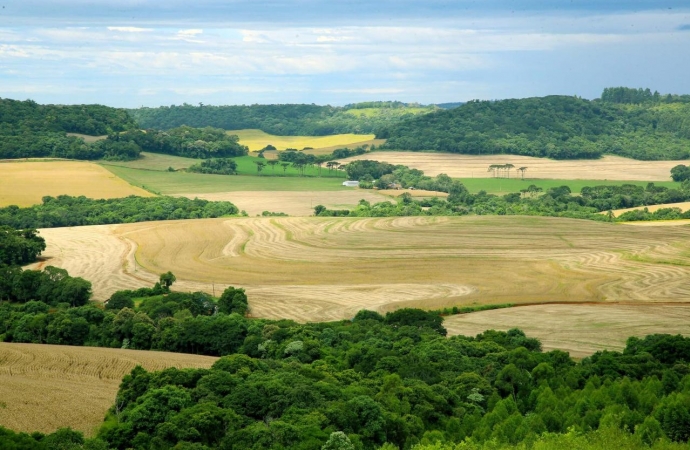 Acordo permitirá a compra de 3 mil hectares de terras paras indígenas em Santa Helena e região