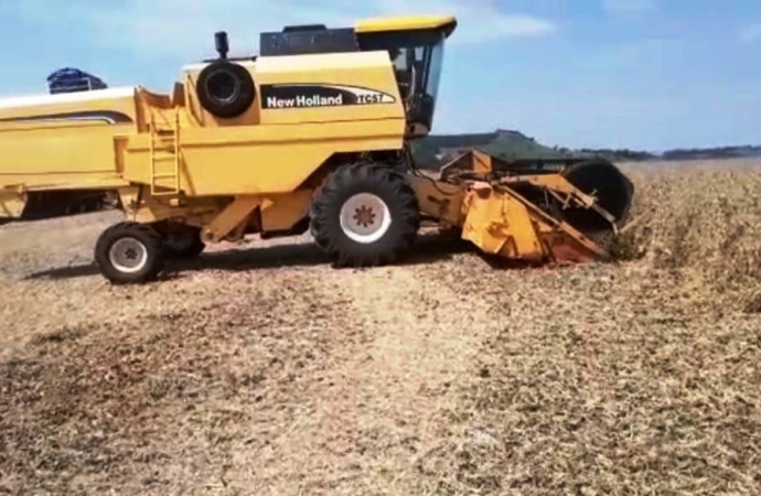 Agricultor aproveita clima bom e acelera colheita da soja em Medianeira