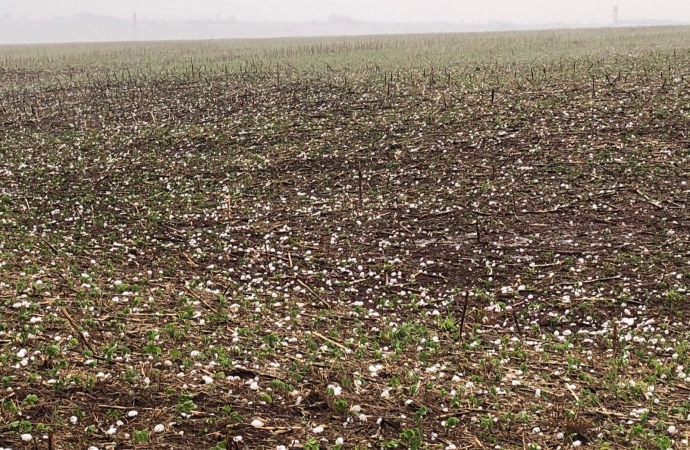 Agricultores de Guaíra temem prejuízos nas lavouras após temporal