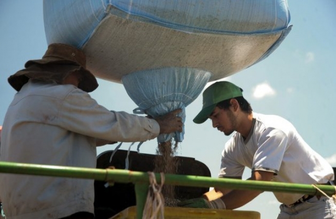 Agricultores estão apreensivos com alta dos insumos no Paraná
