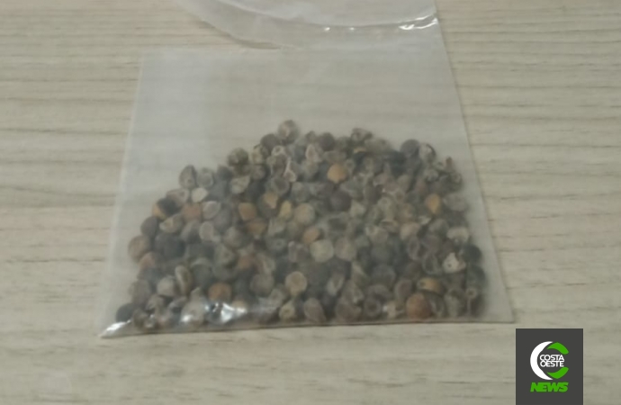 Ao atender jovem em surto, Polícia Militar de Santa Helena apreende droga