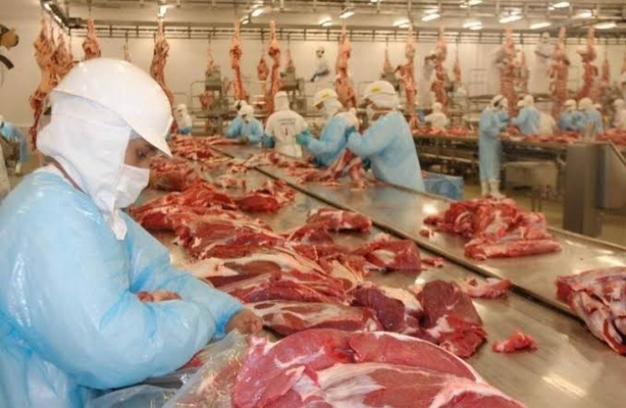 Aumento na produção de carnes garante abastecimento interno e exportações, aponta Conab