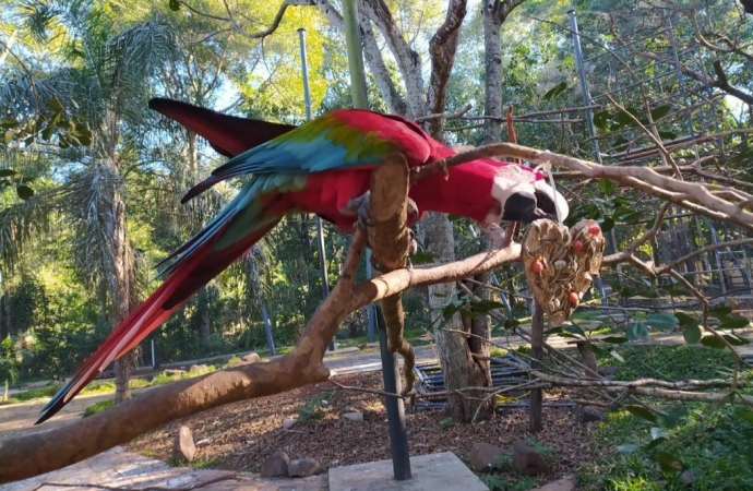 Aves do Refúgio Biológico da Itaipu ganham “almoço especial” no Dia dos Namorados