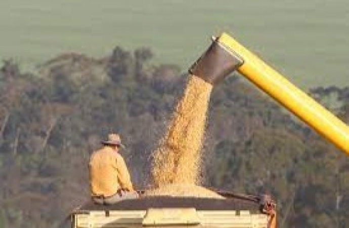 Bônus da PGPAF inclui milho e sorgo entre os produtos contemplados em março