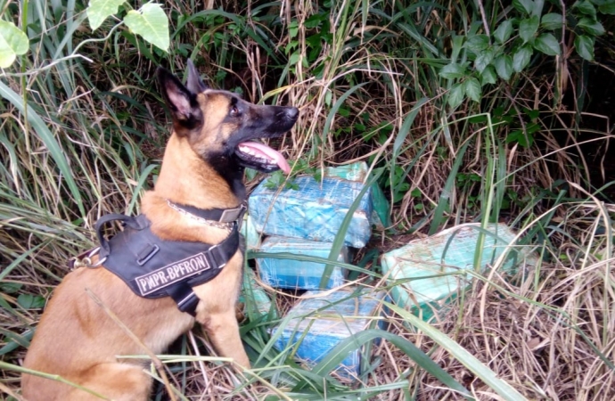 BPFRON apreende 158 kg de maconha durante Operação Hórus em Santa Helena