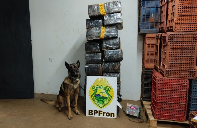 BPFron apreende droga em Santa Helena