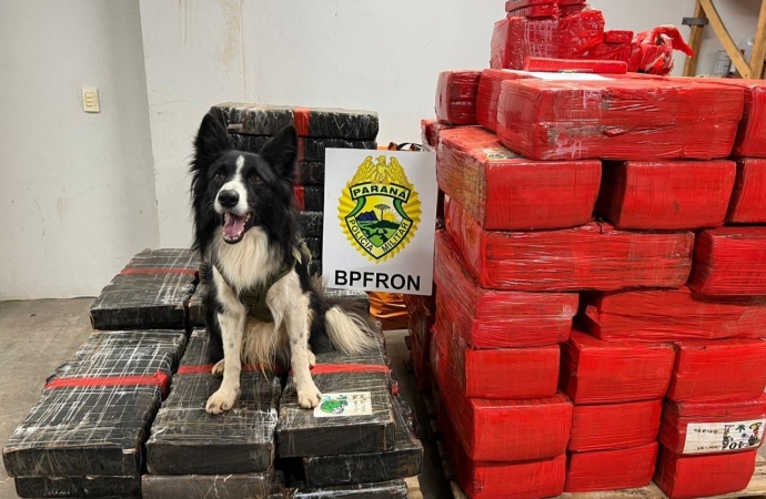 BPFron apreende mais de uma tonelada de droga em Santa Helena