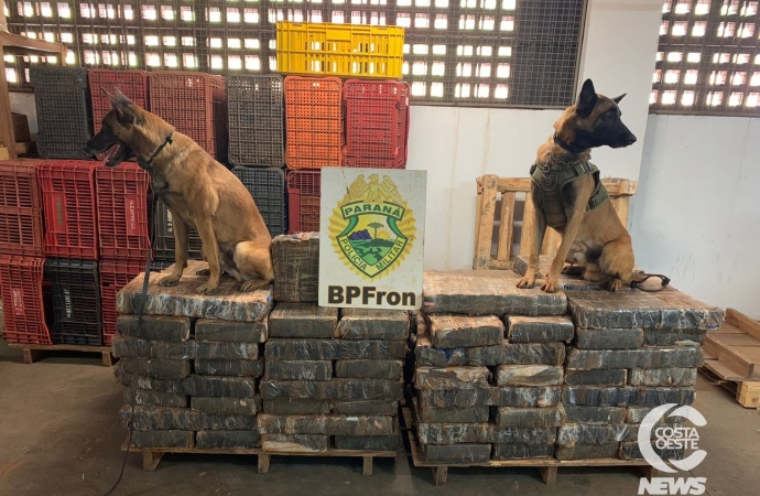 BPFRON apreende uma  tonelada de droga em Santa Helena