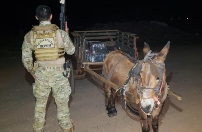 Burro puxando carroça carregada de maconha é apreendido em Guaíra