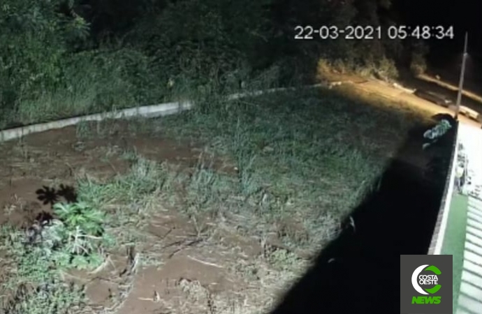 Câmera flagra furto de tábuas durante a madrugada em Santa Helena e PM é acionada