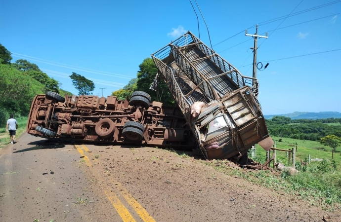 Caminhão carregado com porcos tomba na PR 488