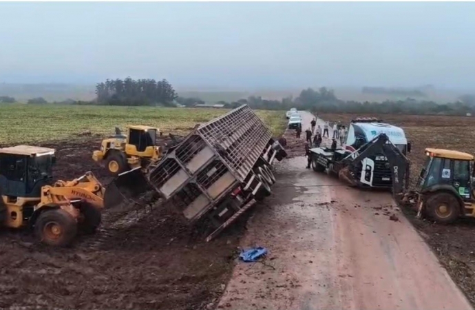 Caminhão transportando suínos tomba durante a madrugada em Santa Helena