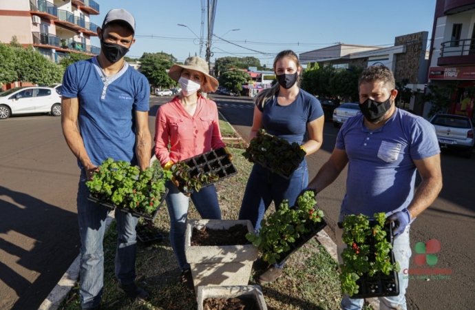 Canteiro Central da Avenida Dom Geraldo Sigaud em Missal recebe plantio de flores