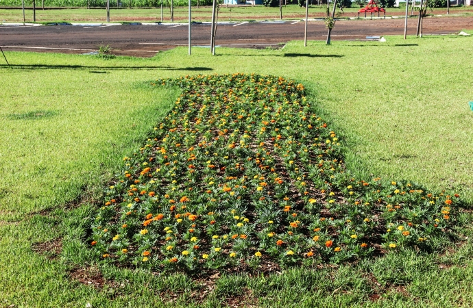 Canteiros de flores ganham cor em Serranópolis do Iguaçu