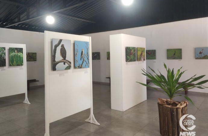 Casa da Memória de Medianeira participa da 22ª Semana Nacional dos Museus
