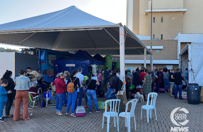 CastraPet Paraná realizou 250 cirurgias de castração ontem em Medianeira