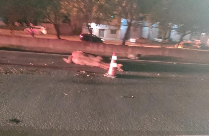 Cavalo morre atropelado no perímetro urbano da BR-277 em São Miguel do Iguaçu