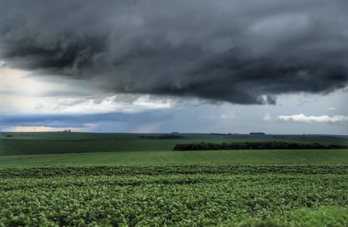 Chuvas acima das médias impactam produção agropecuária paranaense