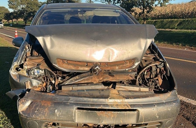 Colisão traseira é registrada na PR 317 em Santa Helena
