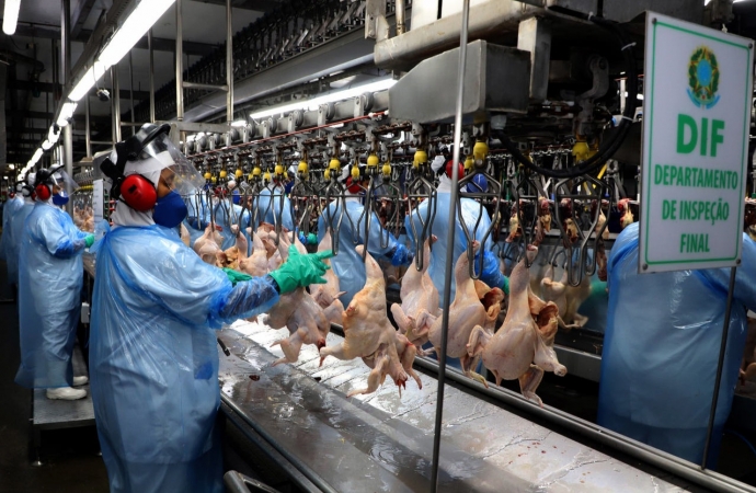 Com alta de 31,7%, carne de frango in natura foi o produto mais exportado pelo Paraná em 2022