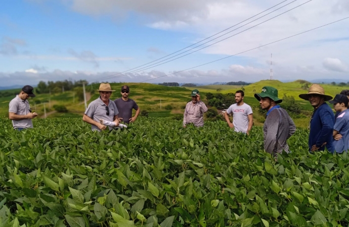 Com assistência do IDR-PR, soja orgânica aumenta rendimento de produtores de Jardim Alegre