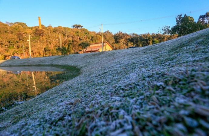 Com objetivo de auxiliar setor rural, Serviço Alerta Geada começa nesta segunda-feira