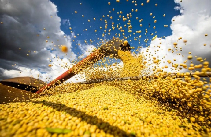 Conab aponta que Brasil deve produzir 299,27 milhões de toneladas de grãos na safra 2023/2024