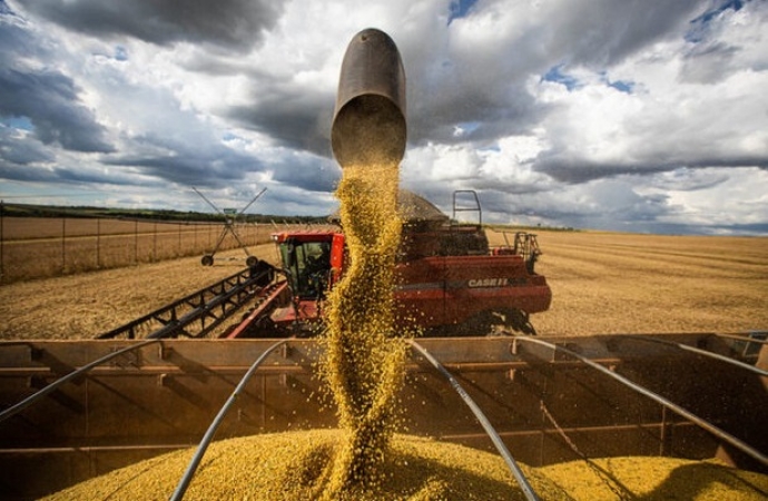 Conab estima produção de 294,1 milhões de toneladas de grãos na safra 2023/2024