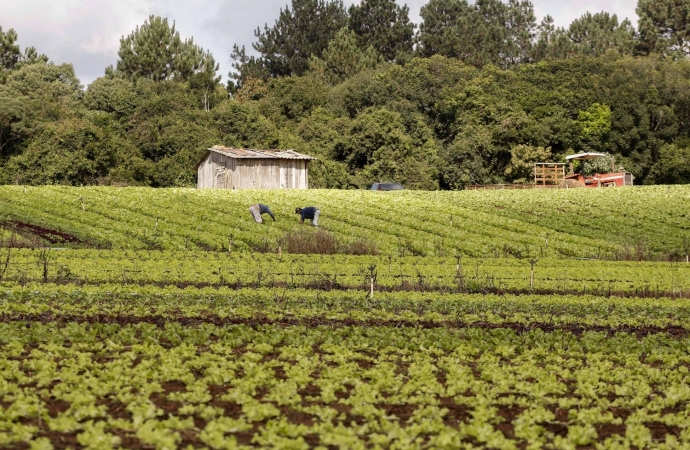 Conab, MDA e Incra debatem novos desafios para fortalecer agricultura familiar | Costa Oeste News