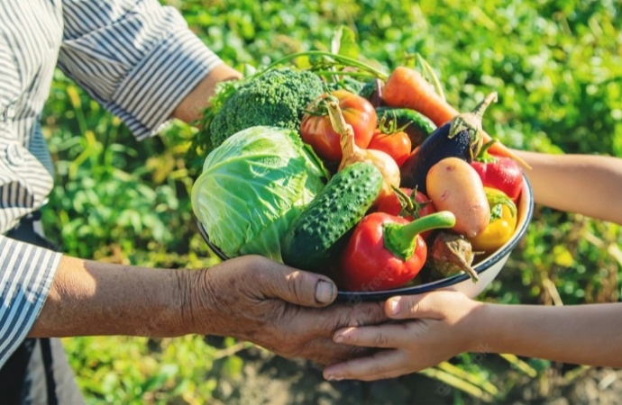 Conab participa de acordo para ampliar acesso da agricultura familiar às compras institucionais