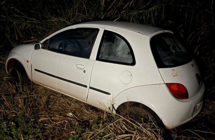 Condutor perde controle e veículo para em vegetação na PR 317 em Santa Helena