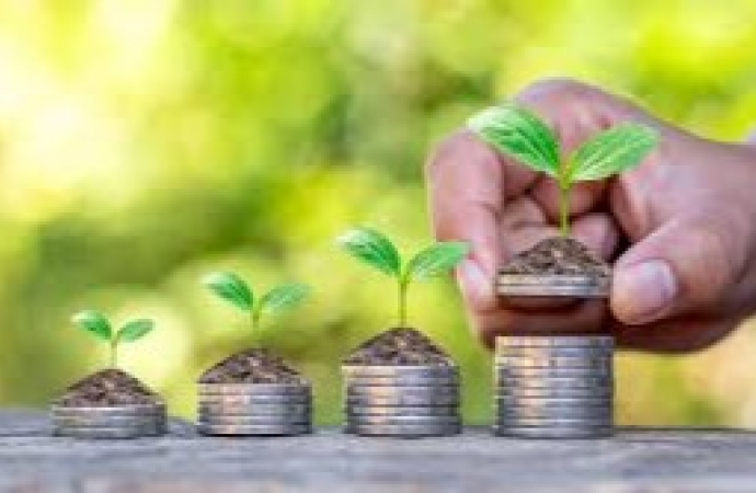 Conselho Monetário Nacional autoriza produtores a renegociar dívidas do crédito rural