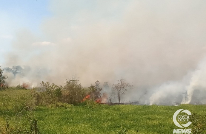 Corpo de Bombeiros e Defesa  Civil combatem incêndio em vegetação em Guaíra
