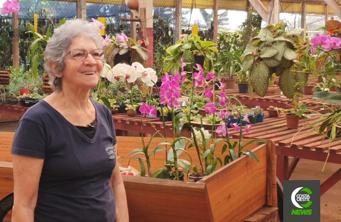 Dá para imaginar que um aviário se tornaria um dos orquidários mais bonitos da região!?