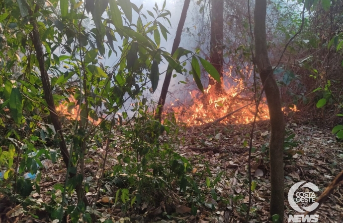 Defesa Civil de Missal tem atuado no combate a incêndios ambientais