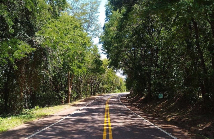 DER/PR finaliza licitação para poda de árvores em 742 km de rodovias do Oeste e Sudoeste