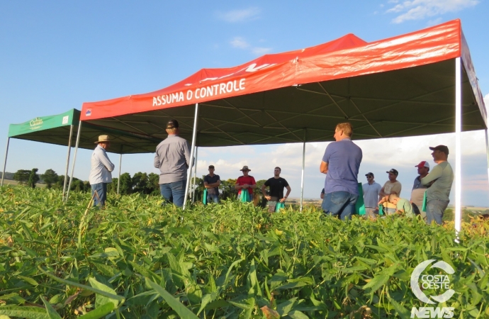 Dia de Campo apresenta tecnologias para agricultores de Santa Helena