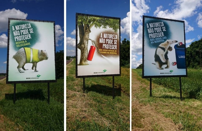 Ecocataratas e Parque Nacional do Iguaçu levam educação ambiental a 22 mil pessoas