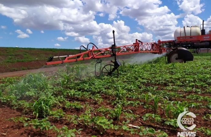 Em guerra, Rússia promete manter comércio de fertilizantes com Brasil