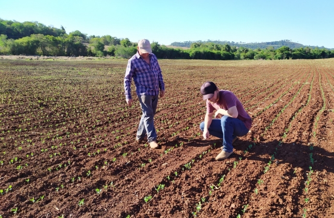 Em propriedade diversificada, produtor rural prioriza soja e gado de corte fica em segundo plano