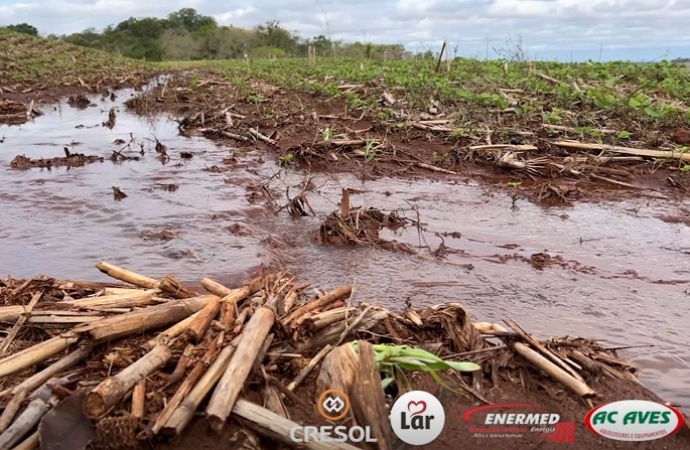 Chuvas afetam algumas lavouras e deixam produtores em alerta no oeste paranaense